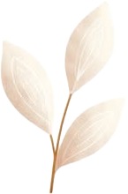 a white plant with a stem and leaves.jpg
